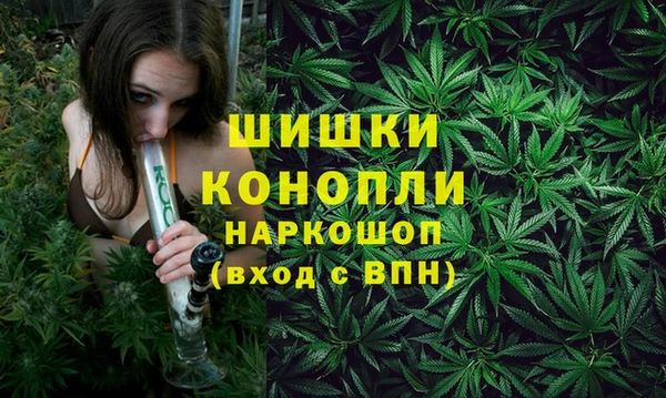 стафф Аркадак